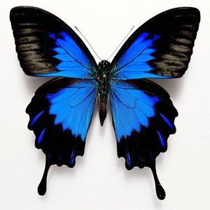 RESERVED FOR TRADE ONLY